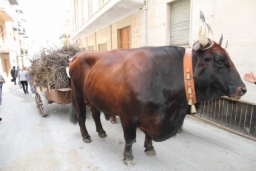 Calatafimi - Segesta106.JPG